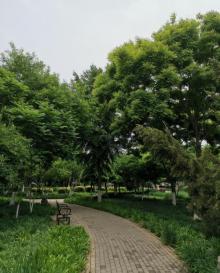 嘉泰公园9