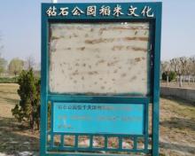 津南・小站钻石公园2