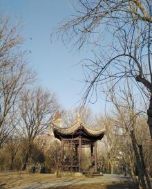 如意园12