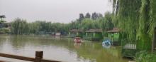 杨家寨主题乐园5
