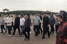 南大港湿地26