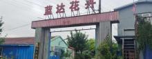 天津市宁河县蓝达花木场1