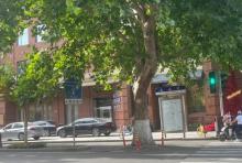 泰安历史文化街区1