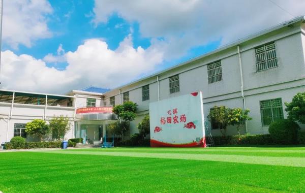 双晖稻田农场