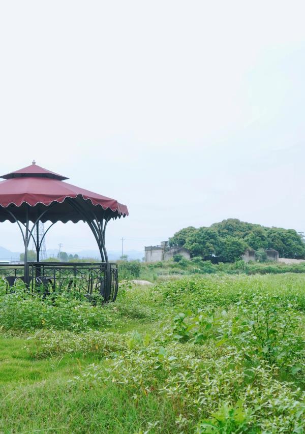 田园花海