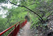白蛇谷风景区7