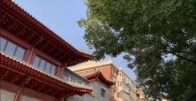 天津市莲宗寺2