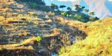 八仙山自然保护区3