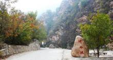 八仙山自然保护区6