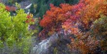 八仙山自然保护区4