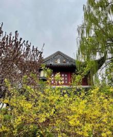 八仙山自然保护区9