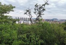 天津市蓟州区地质博物馆2