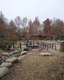 河东公园6