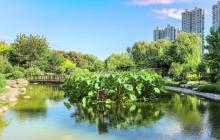 河东公园4