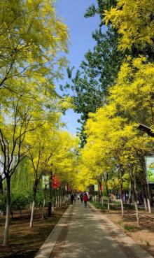 南翠屏公园9