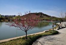 南翠屏公园17