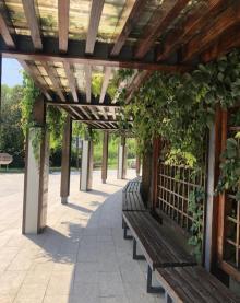 南翠屏公园21
