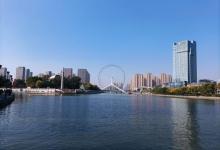 海河桥12