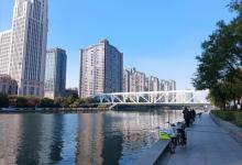 海河桥13
