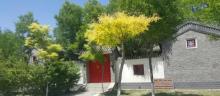 杨柳青庄园25