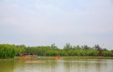 杨柳青庄园8