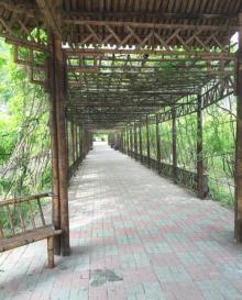 杨柳青庄园16