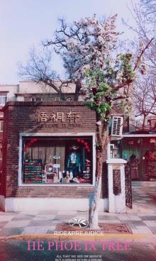 大理道9