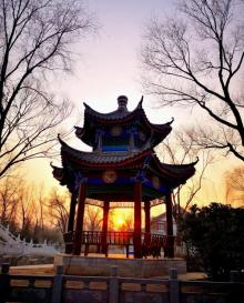 西沽公园10