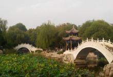 西沽公园20