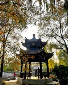 西沽公园12