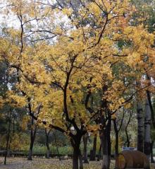 西沽公园3