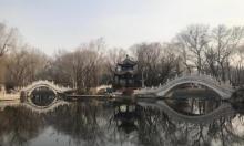 西沽公园1
