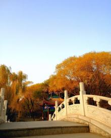 西沽公园11