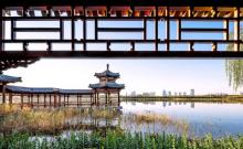 天津水西公园2