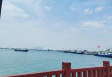 中心渔港出海俱乐部23
