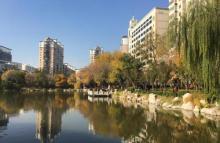 人民公园13