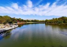 天津塘沽森林公园1