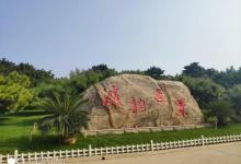 天津塘沽森林公园13