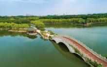 天津塘沽森林公园2
