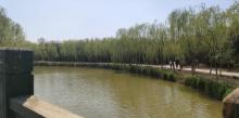 天津塘沽森林公园3