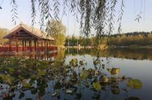南湖公园7