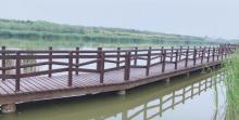 西青郊野公园28
