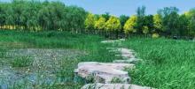 西青郊野公园14