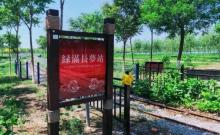 西青郊野公园20