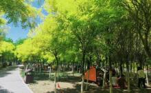 西青郊野公园7