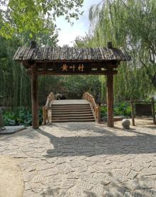 黄叶村1