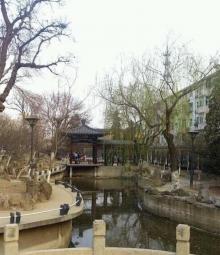 桃花堤公园19