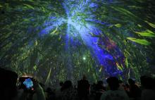 海昌极地海洋公园 魔法海洋科技馆4