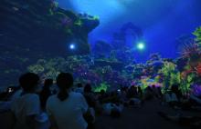 海昌极地海洋公园 魔法海洋科技馆3