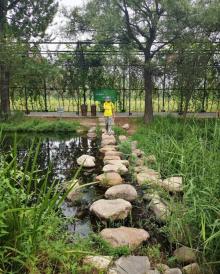 郭家沟景区26